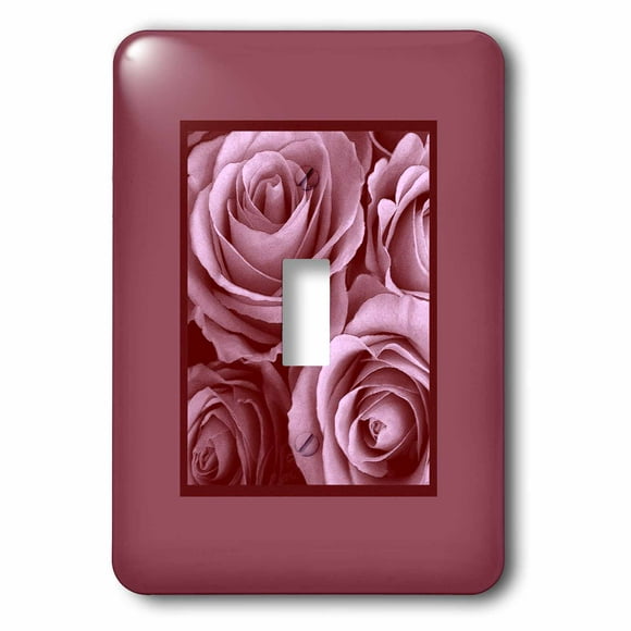 3dRose lsp_40557_6 Pink And Green Frame Around A Heart 2 Plug Outlet Cover 